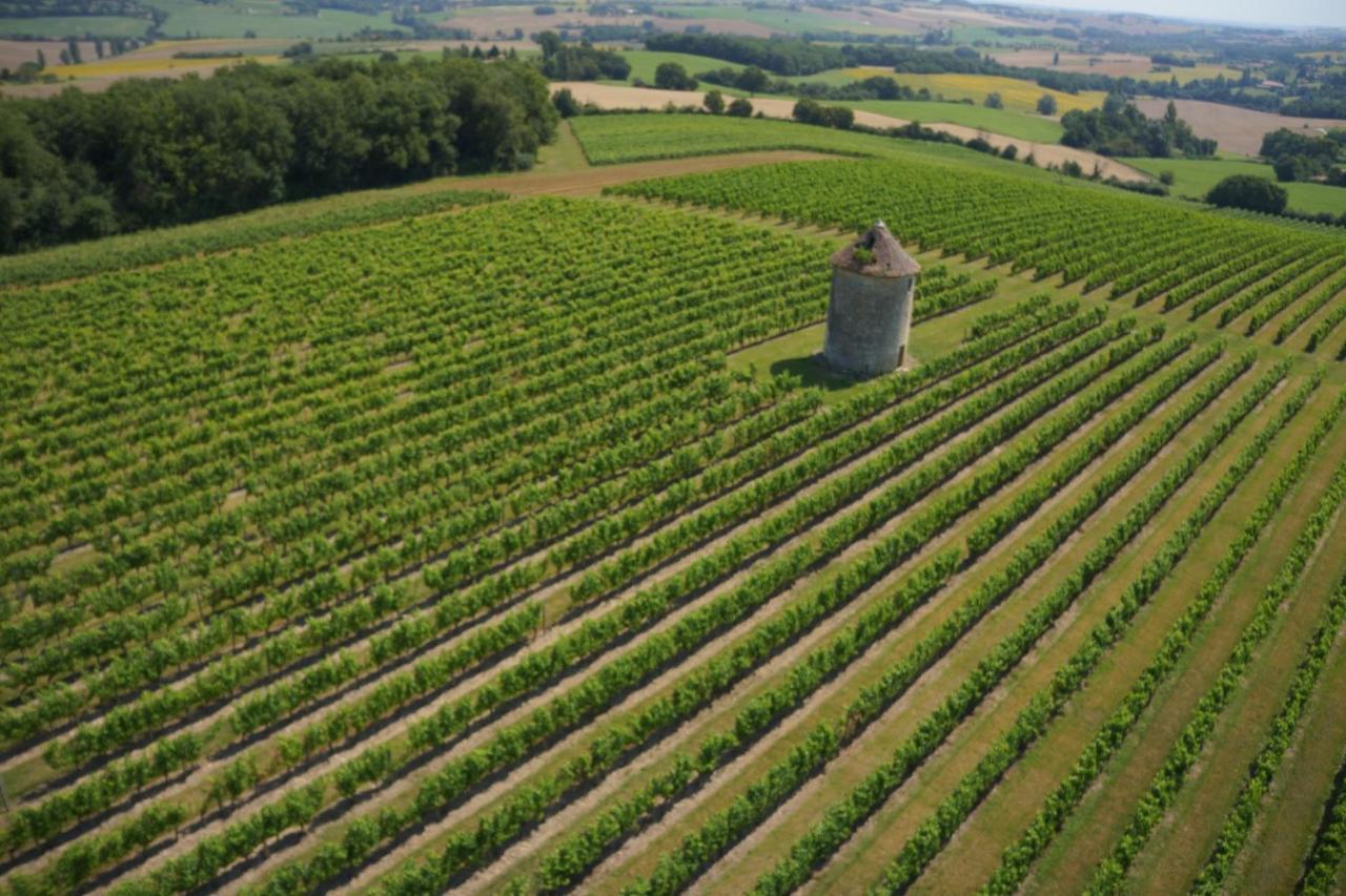 Chateau De Mons Armagnac Caussens Ngoại thất bức ảnh